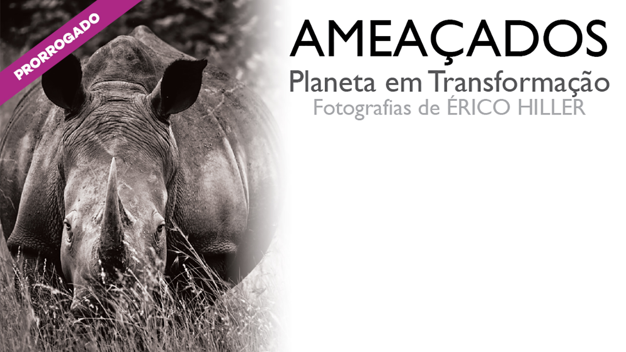 Arte composta por foto de um rinoceronte em preto e branco do lado esquerdo e do lado direito, fundo branco escrito "Ameaçados, Planeta em Transformação, Fotografias de Érico Hiller"