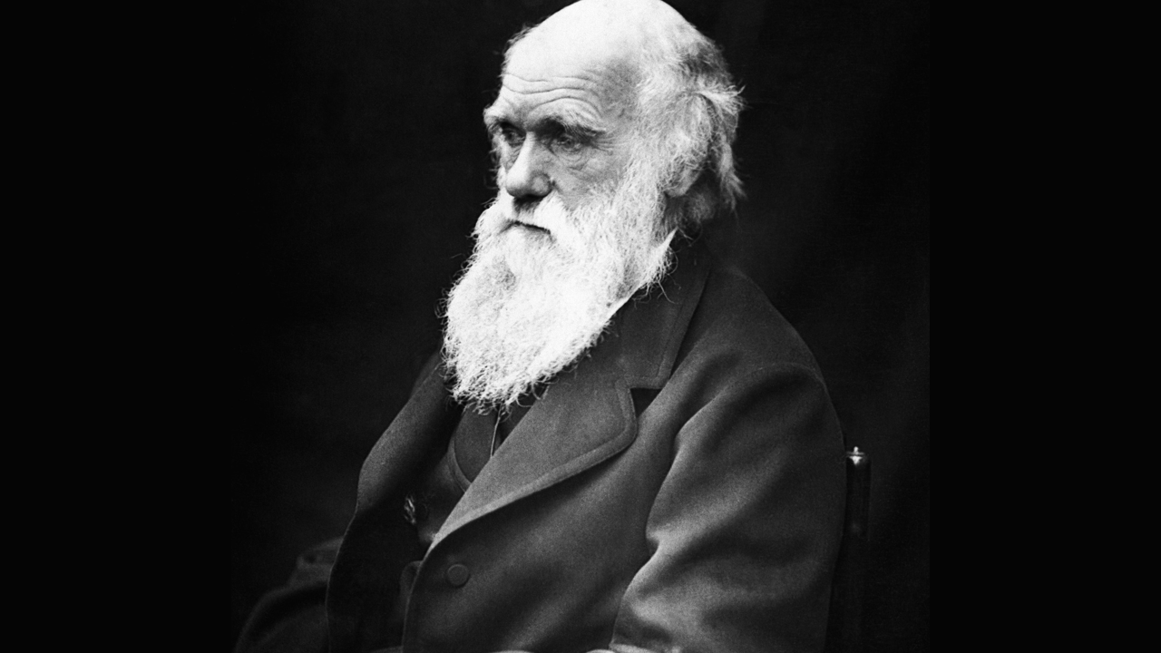 Foto de perfil do cientista Charles Darwin