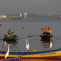 Homem em um pequeno barco na Baía de Guanabara com o Pão de Açúcar ao fundo