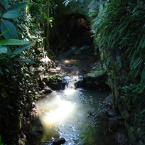 Foto do Rio Carioca