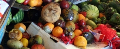 Recipes to prevent food waste